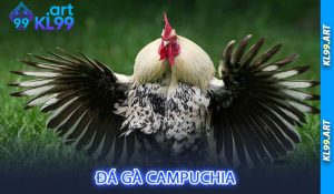 Đá gà Campuchia