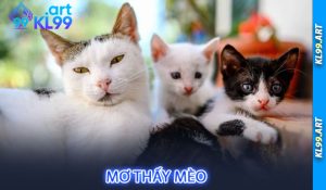 Mơ thấy mèo